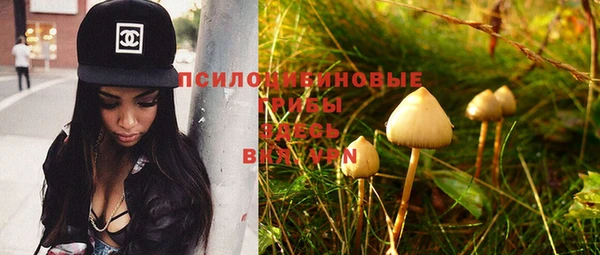 не бодяженный Горно-Алтайск